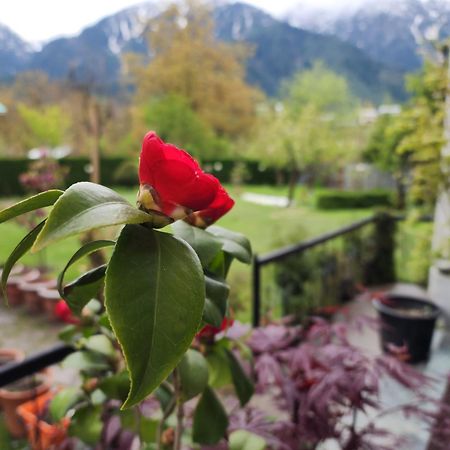 Premier Pahalgam Ξενοδοχείο Εξωτερικό φωτογραφία