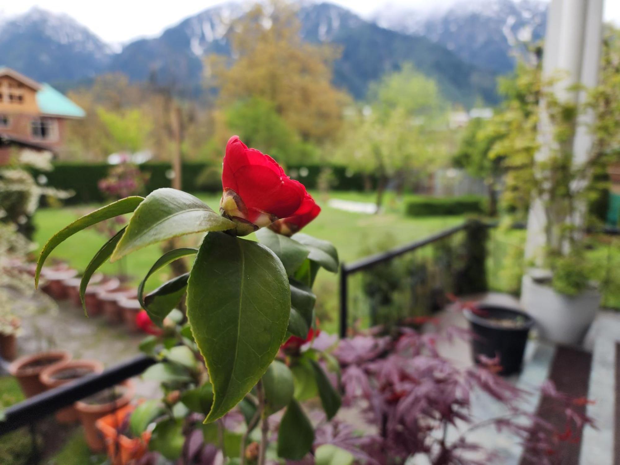 Premier Pahalgam Ξενοδοχείο Εξωτερικό φωτογραφία